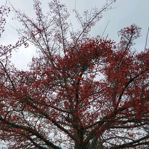 Meet your Posher, Oleg